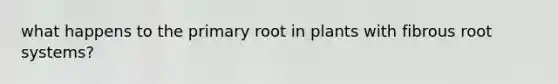 what happens to the primary root in plants with fibrous root systems?