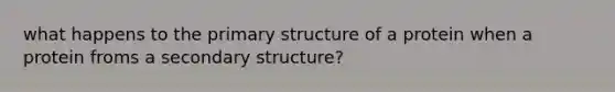 what happens to the primary structure of a protein when a protein froms a secondary structure?