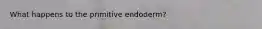 What happens to the primitive endoderm?