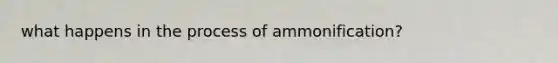 what happens in the process of ammonification?