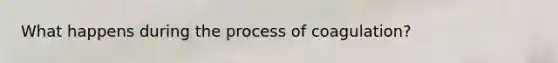 What happens during the process of coagulation?