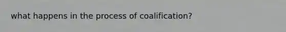 what happens in the process of coalification?