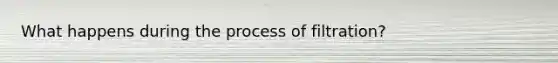 What happens during the process of filtration?
