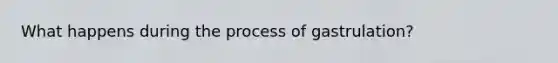 What happens during the process of gastrulation?