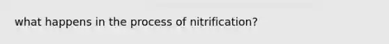 what happens in the process of nitrification?