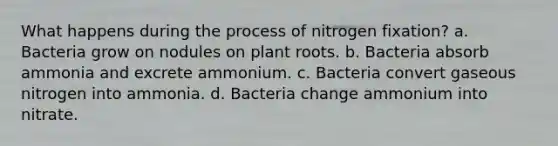 What happens during the process of nitrogen fixation? a. Bacteria grow on nodules on plant roots. b. Bacteria absorb ammonia and excrete ammonium. c. Bacteria convert gaseous nitrogen into ammonia. d. Bacteria change ammonium into nitrate.