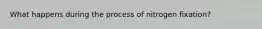 What happens during the process of nitrogen fixation?
