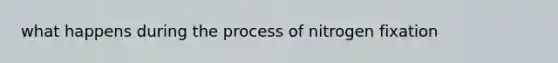 what happens during the process of nitrogen fixation