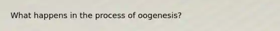 What happens in the process of oogenesis?