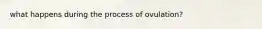 what happens during the process of ovulation?