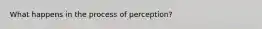 What happens in the process of perception?