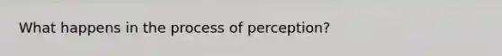 What happens in the process of perception?