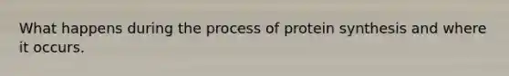 What happens during the process of protein synthesis and where it occurs.