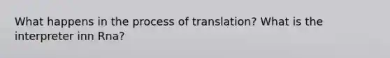 What happens in the process of translation? What is the interpreter inn Rna?