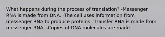 What happens during the process of translation? -Messenger RNA is made from DNA. -The cell uses information from messenger RNA to produce proteins. -Transfer RNA is made from messenger RNA. -Copies of DNA molecules are made.