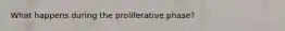 What happens during the proliferative phase?