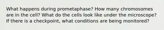 What happens during prometaphase? How many chromosomes are in the cell? What do the cells look like under the microscope? If there is a checkpoint, what conditions are being monitored?