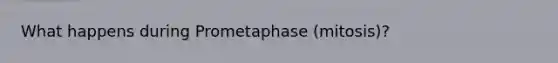 What happens during Prometaphase (mitosis)?