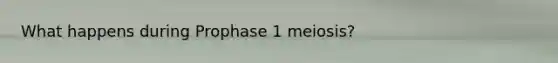 What happens during Prophase 1 meiosis?