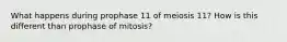 What happens during prophase 11 of meiosis 11? How is this different than prophase of mitosis?