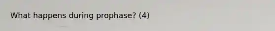 What happens during prophase? (4)