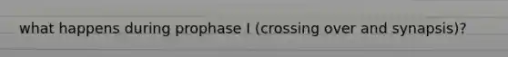 what happens during prophase I (crossing over and synapsis)?