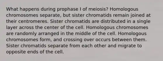 What happens during prophase I of meiosis? Homologous chromosomes separate, but sister chromatids remain joined at their centromeres. Sister chromatids are distributed in a single layer across the center of the cell. Homologous chromosomes are randomly arranged in the middle of the cell. Homologous chromosomes form, and crossing over occurs between them. Sister chromatids separate from each other and migrate to opposite ends of the cell.