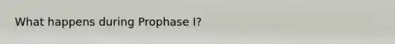 What happens during Prophase I?