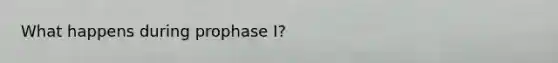 What happens during prophase I?