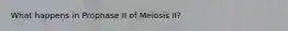 What happens in Prophase II of Meiosis II?