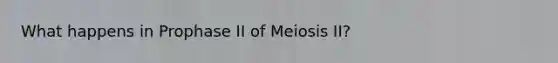 What happens in Prophase II of Meiosis II?