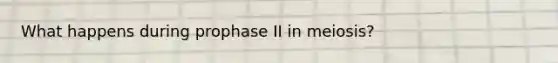 What happens during prophase II in meiosis?