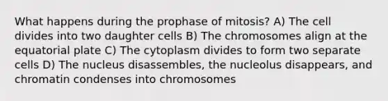 What happens during the prophase of mitosis? A) The cell divides into two daughter cells B) The chromosomes align at the equatorial plate C) The cytoplasm divides to form two separate cells D) The nucleus disassembles, the nucleolus disappears, and chromatin condenses into chromosomes