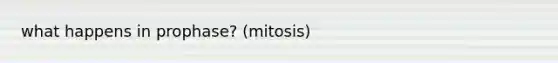 what happens in prophase? (mitosis)