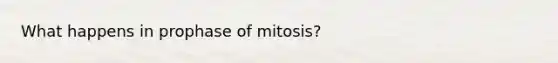 What happens in prophase of mitosis?