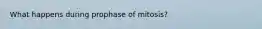 What happens during prophase of mitosis?