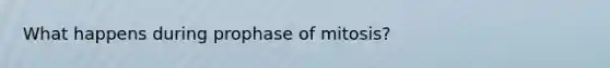 What happens during prophase of mitosis?