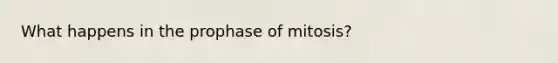 What happens in the prophase of mitosis?