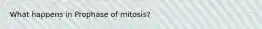 What happens in Prophase of mitosis?