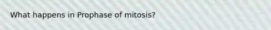 What happens in Prophase of mitosis?