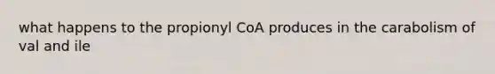 what happens to the propionyl CoA produces in the carabolism of val and ile