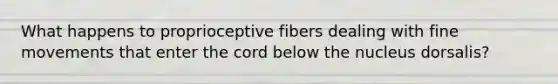 What happens to proprioceptive fibers dealing with fine movements that enter the cord below the nucleus dorsalis?