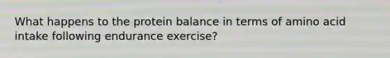 What happens to the protein balance in terms of amino acid intake following endurance exercise?