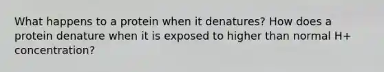 What happens to a protein when it denatures? How does a protein denature when it is exposed to higher than normal H+ concentration?