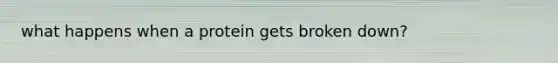 what happens when a protein gets broken down?