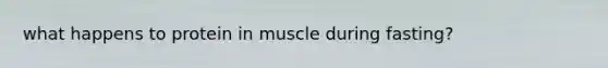 what happens to protein in muscle during fasting?