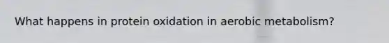 What happens in protein oxidation in aerobic metabolism?