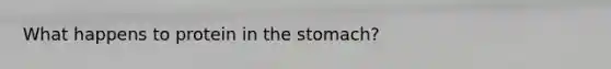 What happens to protein in the stomach?