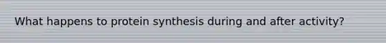 What happens to protein synthesis during and after activity?