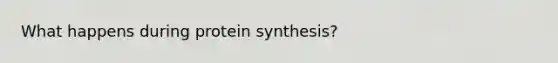 What happens during protein synthesis?